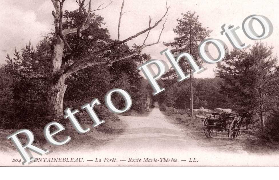 Route Marie Therese