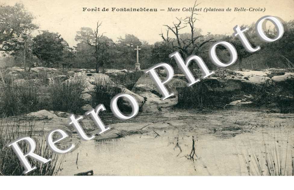 mare Collinet