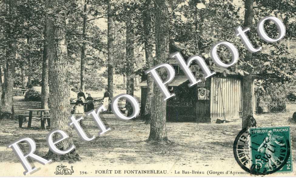 Foret de Fontainebleau, le Bas-Breau