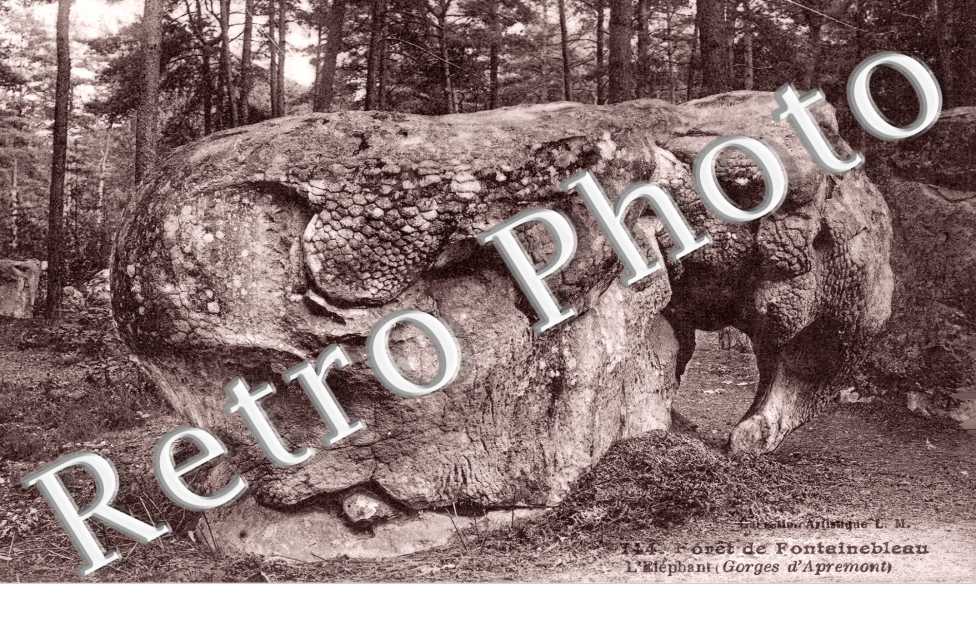 l'elephant