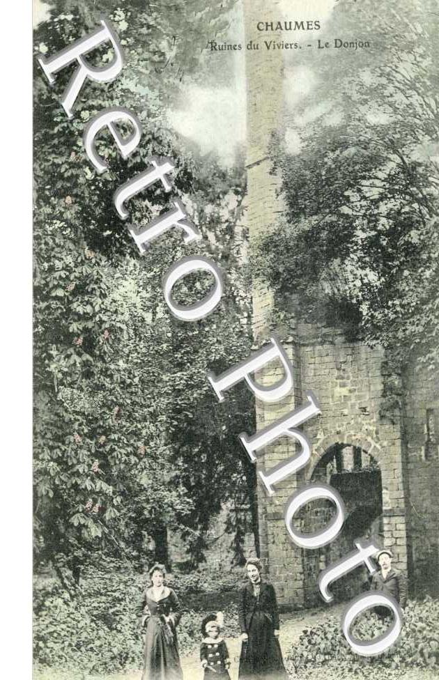 CHAUMES ruines du Viviers Le donjon