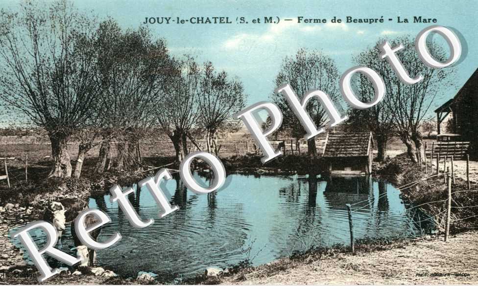 Ferme de Beaupre, la Mare