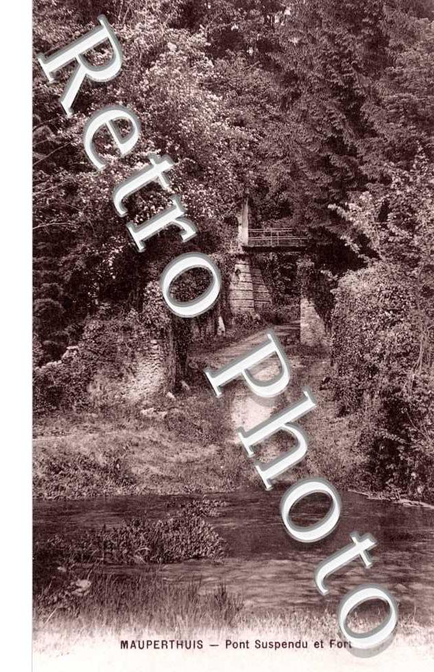 Pont suspendu et fort