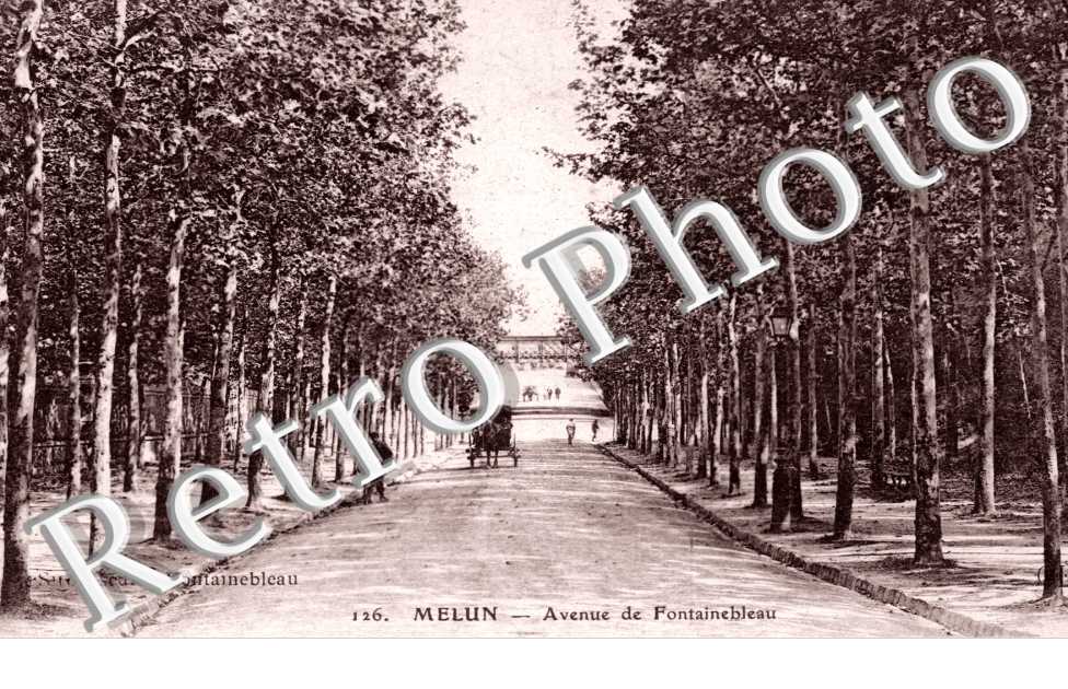 Avenue de Fontainebleau