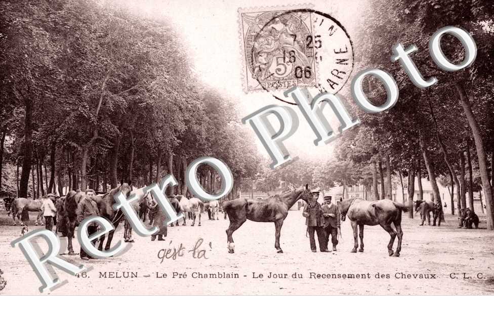 le Pre Chamblain, le Jour du Recensement des Chevaux