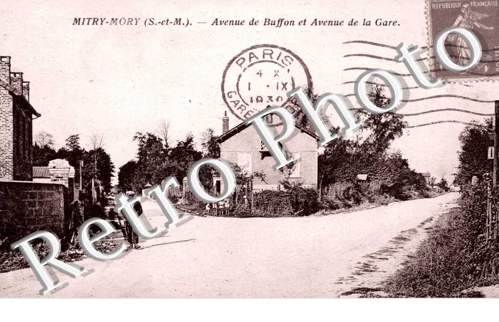 l'Avenue de Buffon et l'Avenue de la Gare