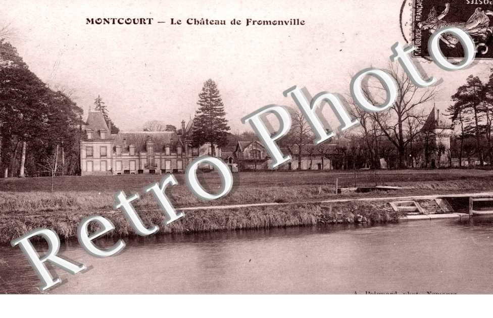 le chateau de Fromonville