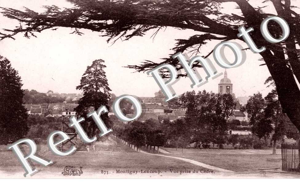 Vue prise du Cedre
