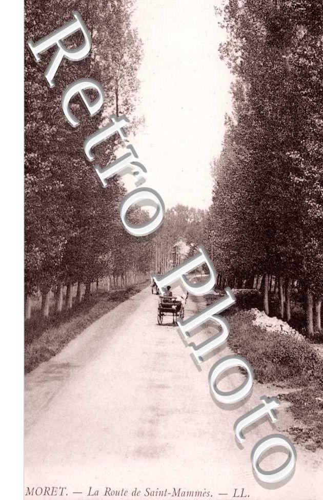 la Route de Saint-Mammes