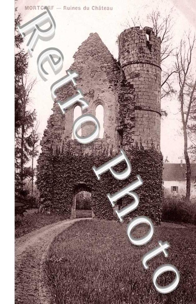 Ruines du  Chateau