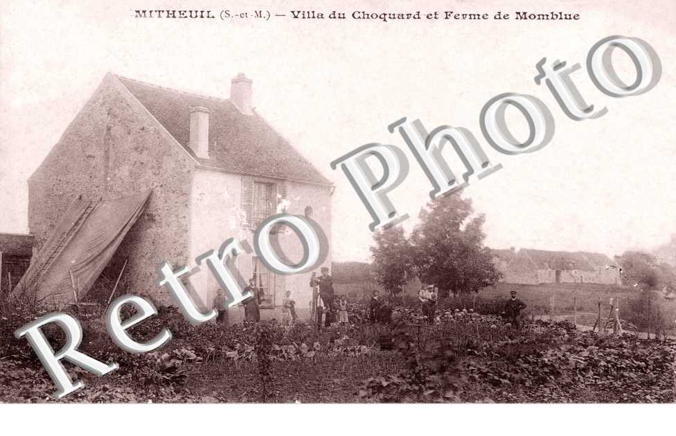 MITHEUIL - Villa du Choquard et Ferme du Momblue
