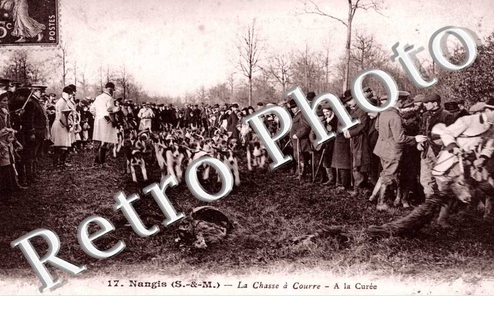 la Chasse a Courre, A la Curee