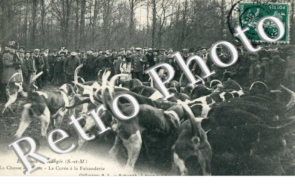 la Chasse a Courre, La Curee a la Faisanderie