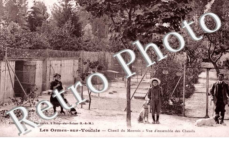 Chenil du Montois - vue d'ensemble des Chenils