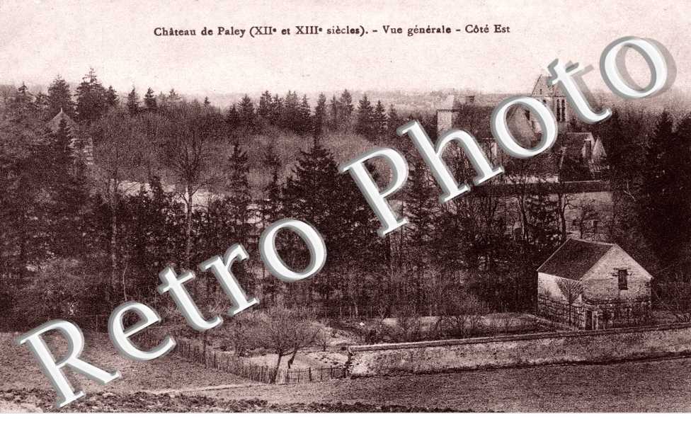 chateau de Paley, vue generale, cote est
