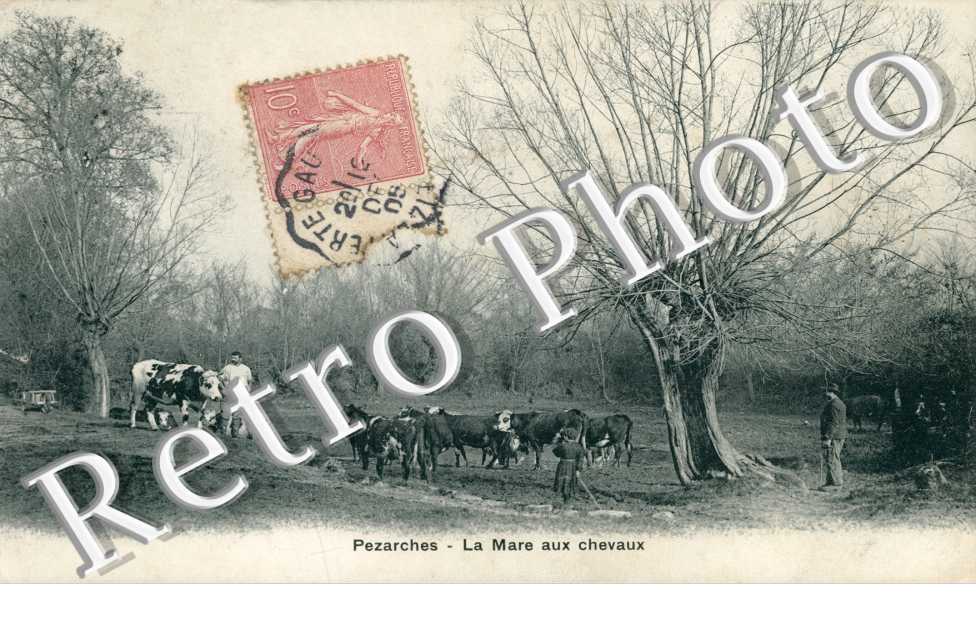 La Mare aux Chevaux