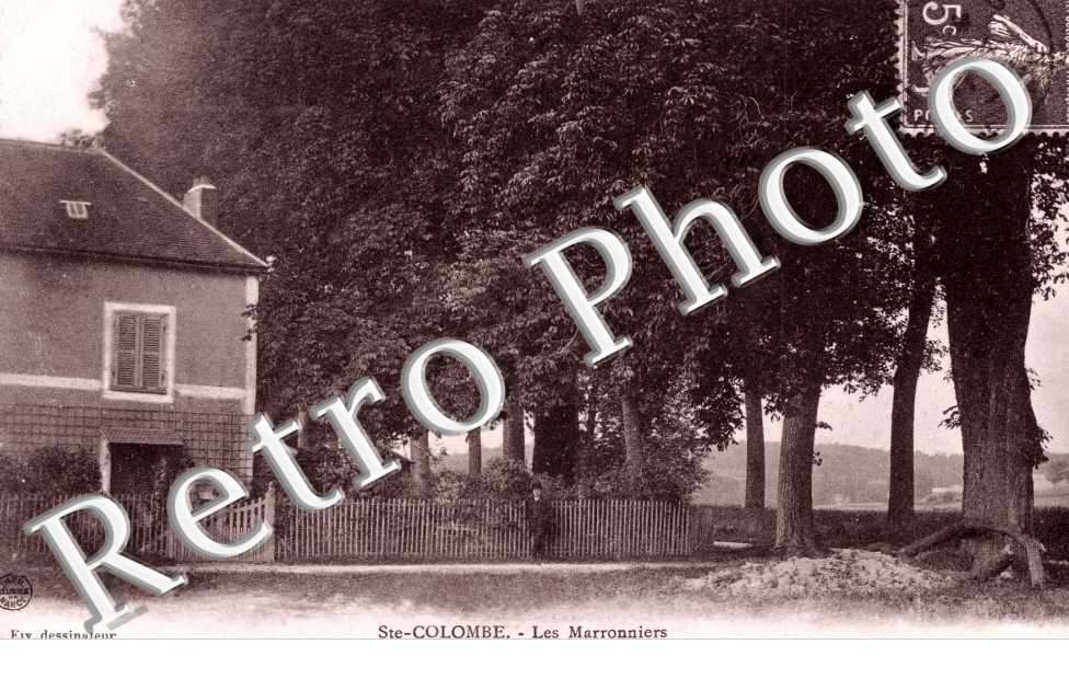Les Marronniers