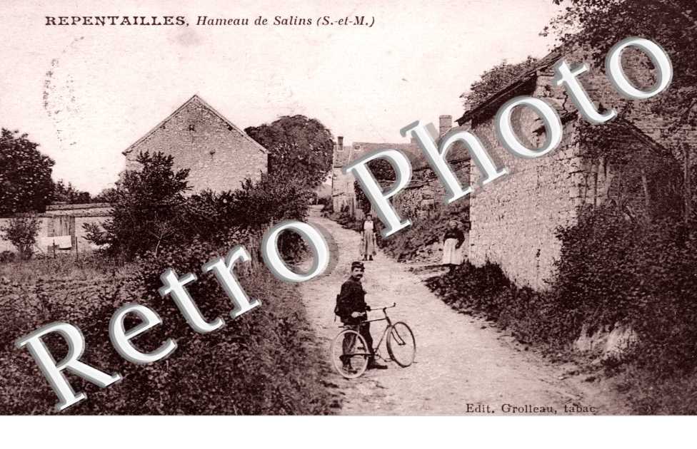 hameau de salins - Repentailles