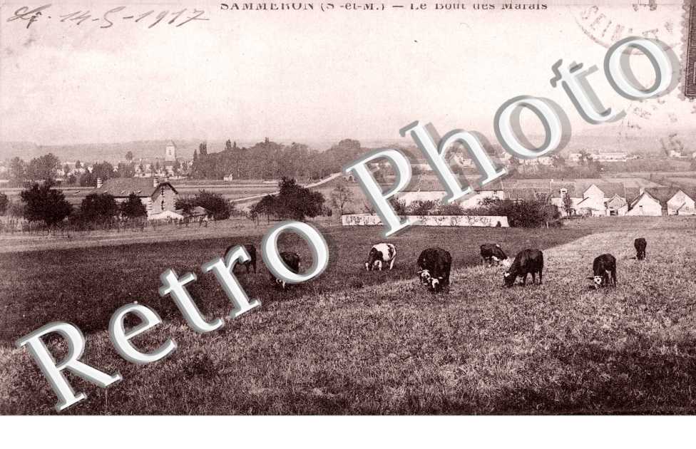 le bout des marais