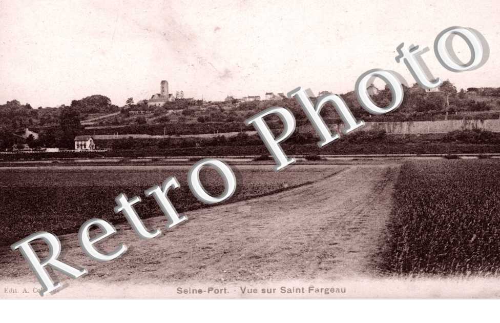 vue sur Saint Fargeau