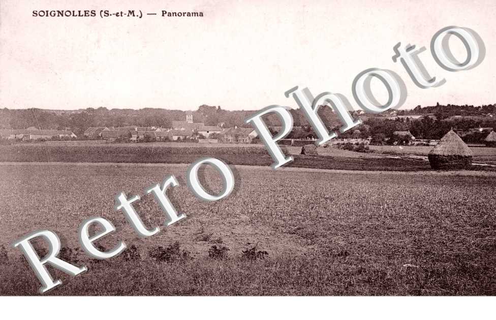 Panorama