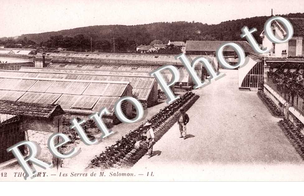 les serres de M.salomon