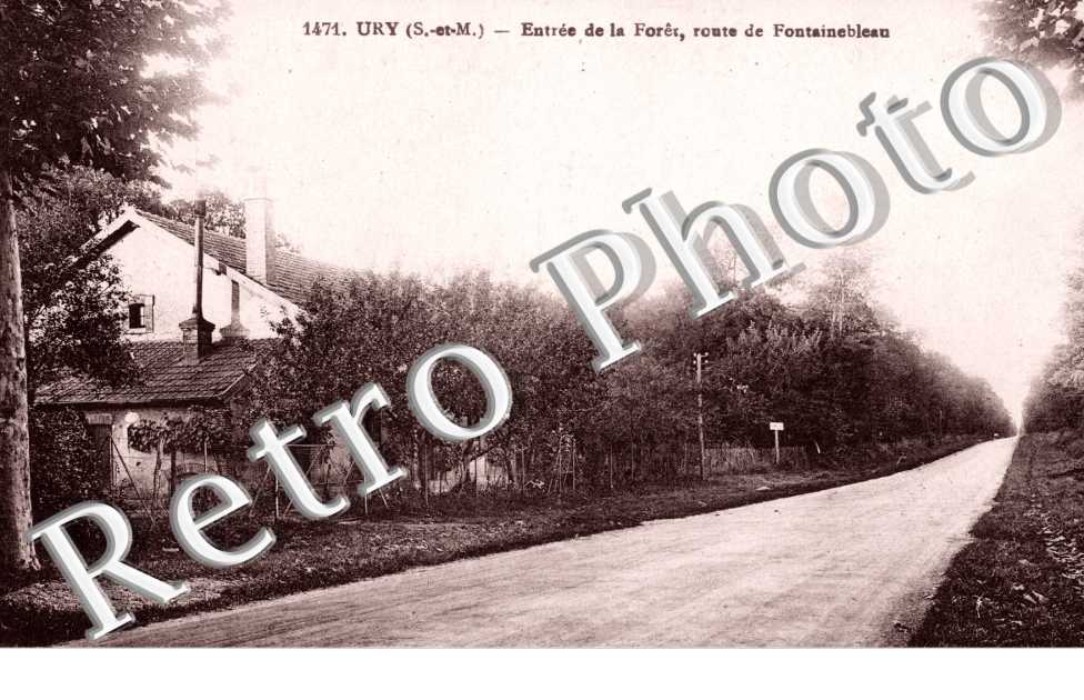 entree de la foret - route de Fontainebleau