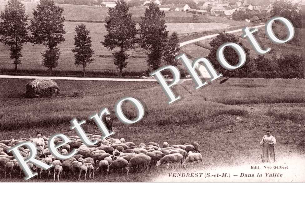 dans la vallee