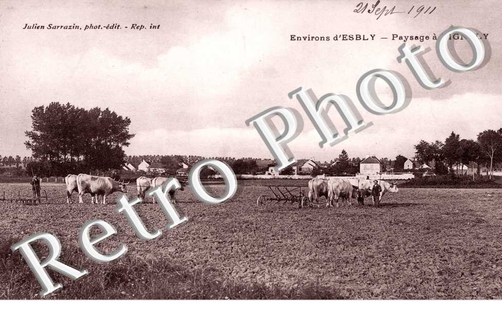 Paysage