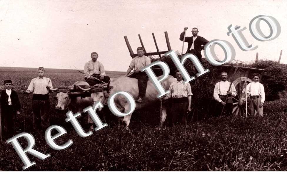  un groupe de personnes sur la plage