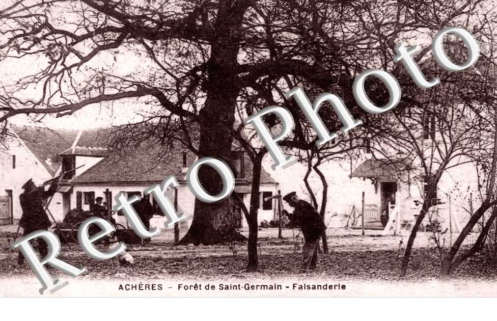 Forêt de Saint Germain - Faisanderie