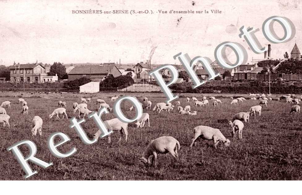Vue d'ensemble