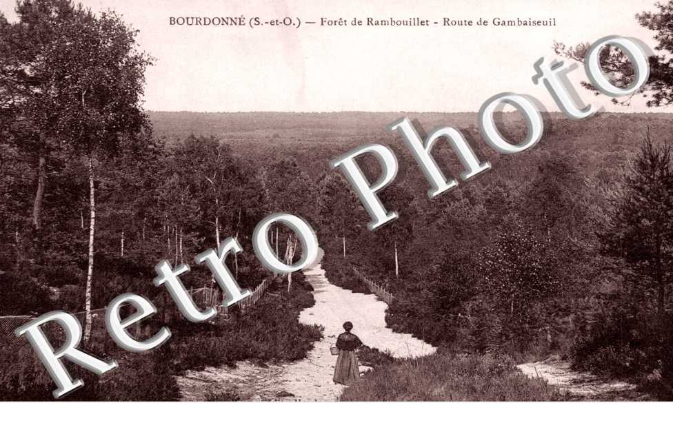 Foret de Rambouillet, Route de Gambaiseuil