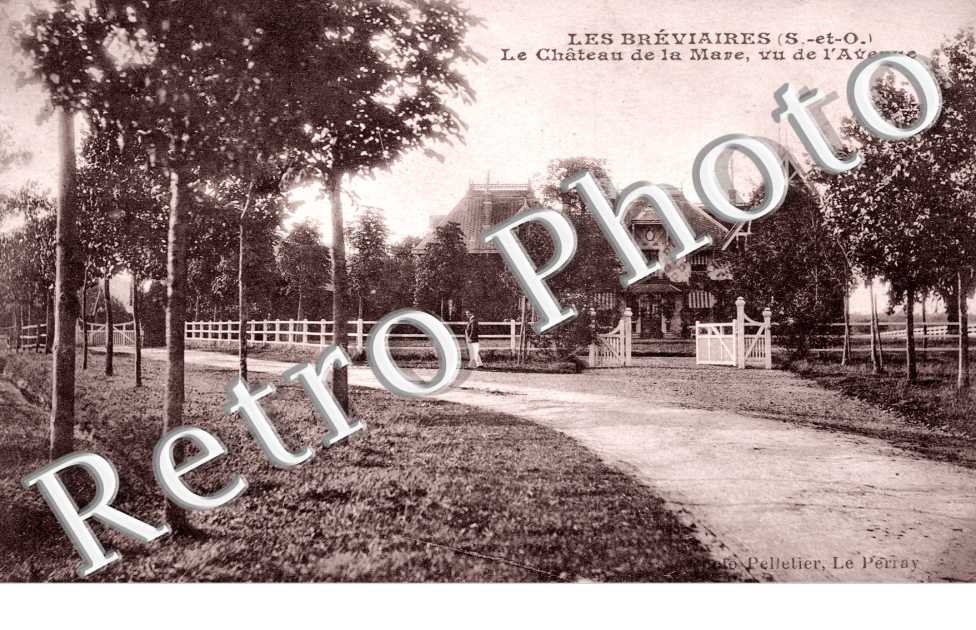 le chateau de la mare