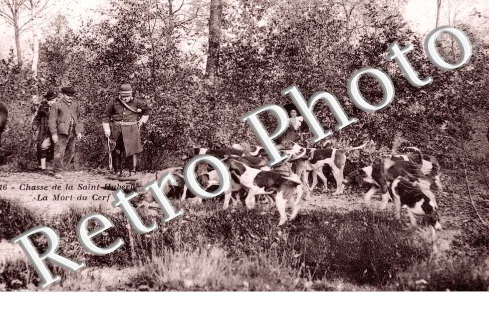 Chasse de la Saint Hubert, la mort d'un cerf