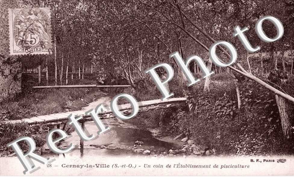Un Coin de l'Etablissement de pisciculture