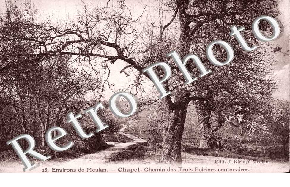 Chemin des Trois Poiriers centenaires