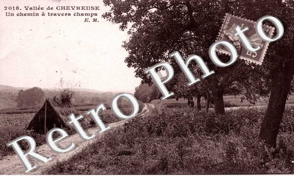 Un chemin a travers champs