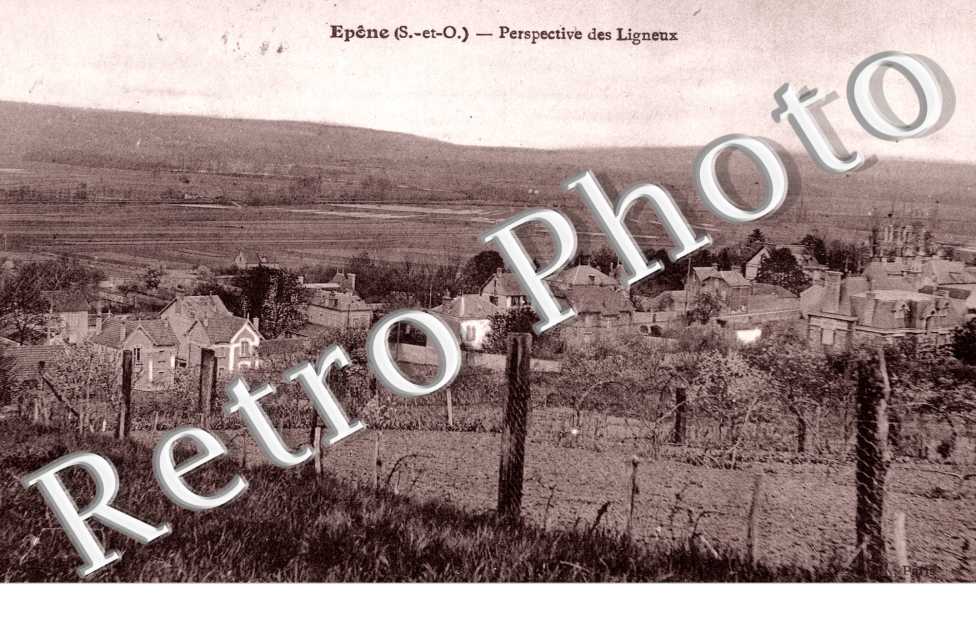 la Perspective des Ligneux