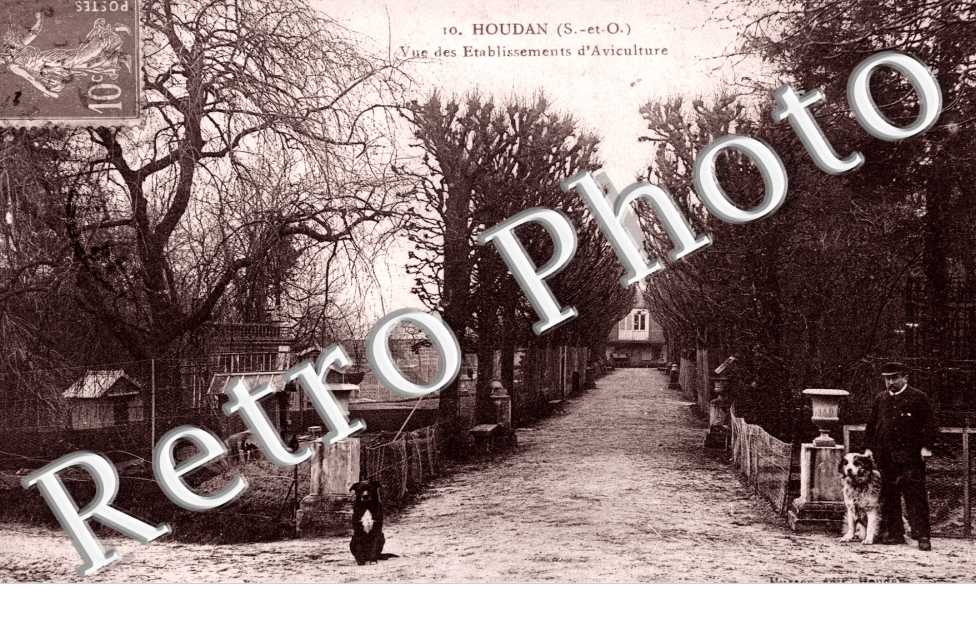 vue des etablissements d'aviculture