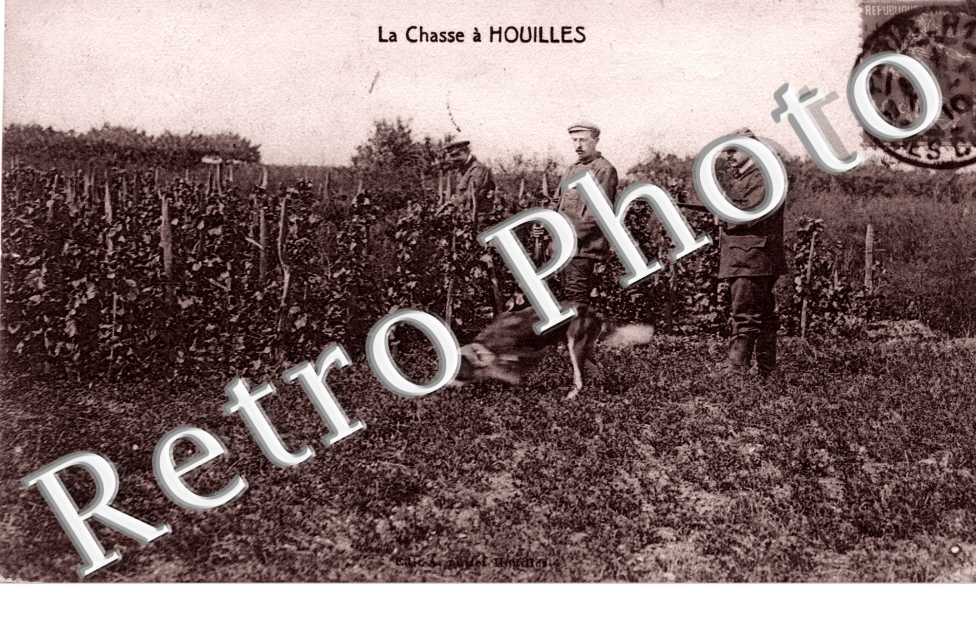 la Chasse a Houilles