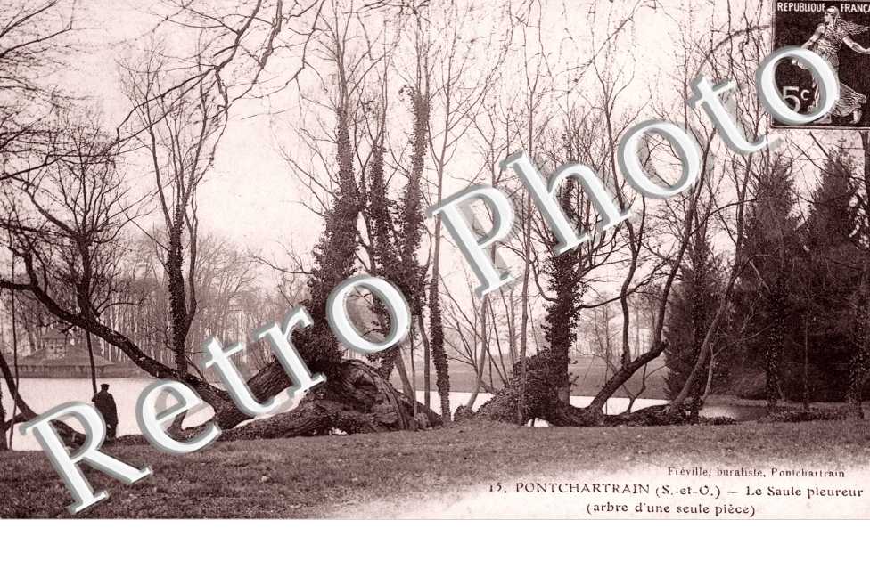Pontchartrain, Le Saule Pleureur
