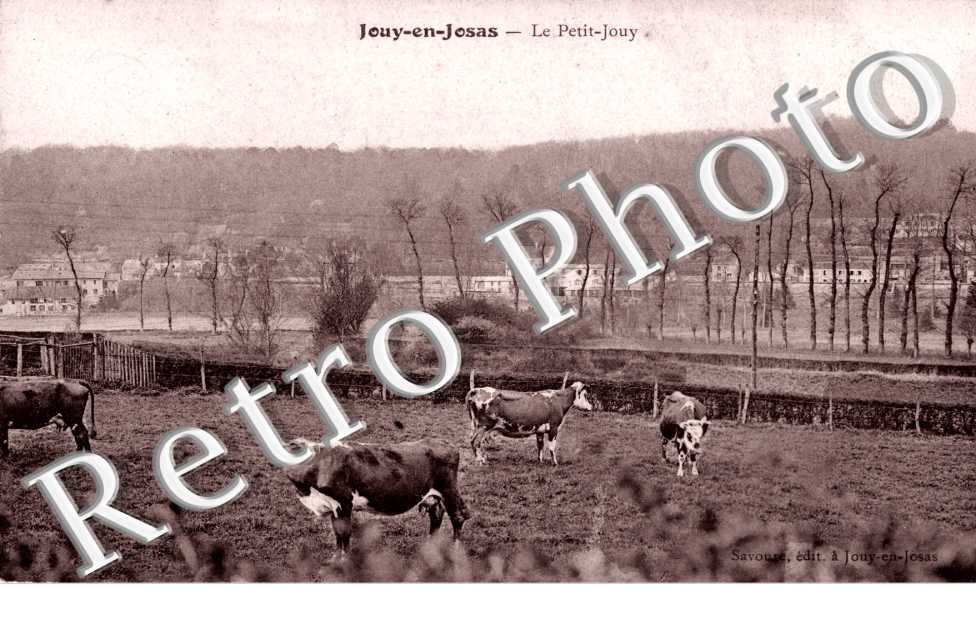 Le Petit Jouy