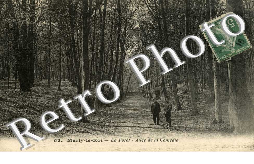 La foret Allee de la Comedie
