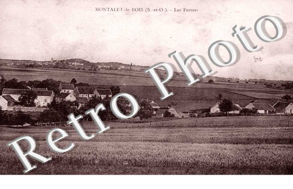 Les Ferrets