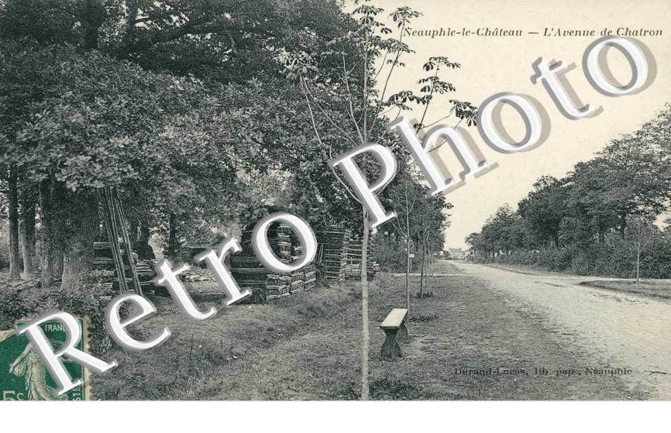 L'avenue de Chatron