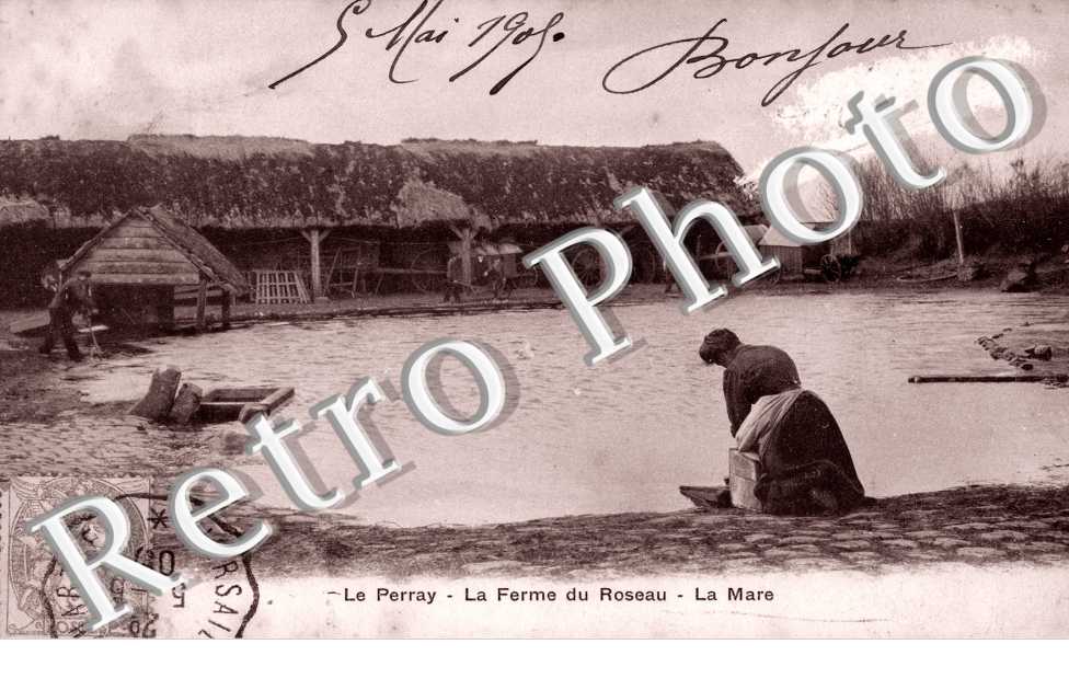 la ferme du roseau - la mare