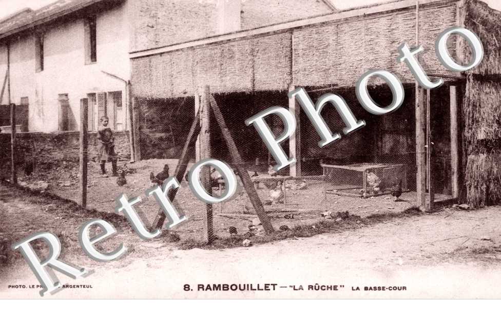 La Rûche, Basse Cour