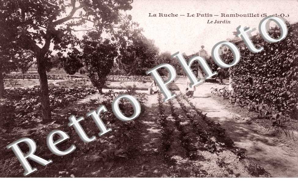 La Ruche, le Patis, le Jardin