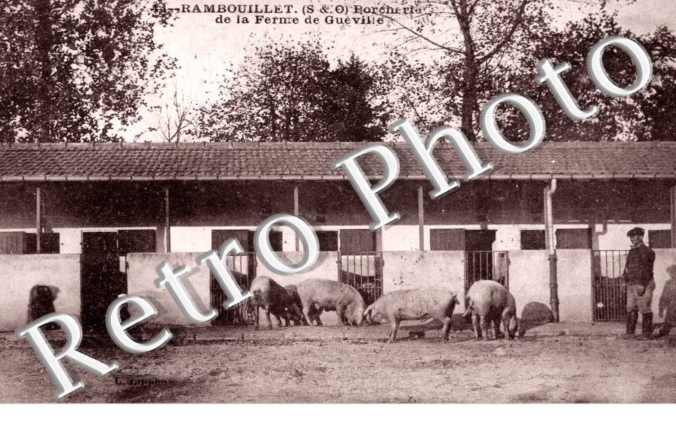 Porcherie de la Ferme de Gueville